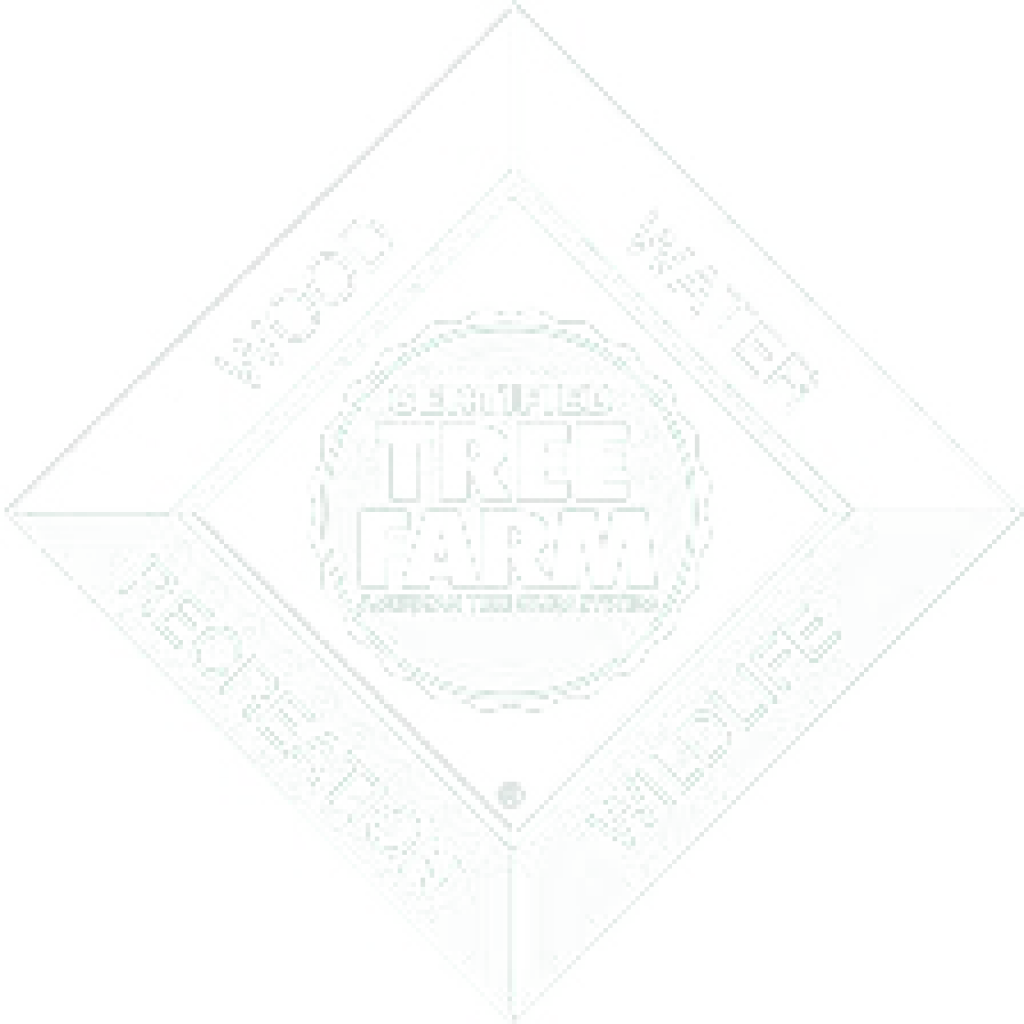 Home Salm Schulenburg